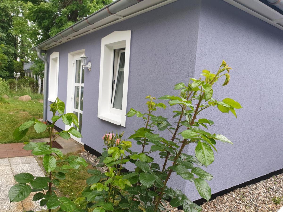 Ferienwohnungen Am Rosenhof Kuehlungsborn Exterior photo